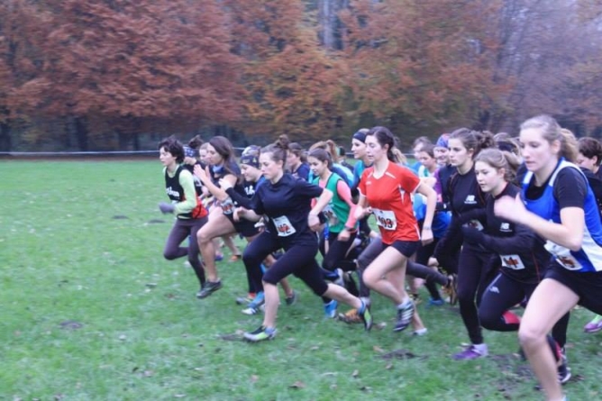 Cross RAA : Arthur Deloignon (ASU Grenoble INP) s’impose